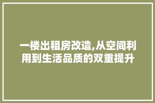 一楼出租房改造,从空间利用到生活品质的双重提升 现代风格装饰