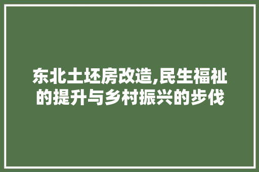 东北土坯房改造,民生福祉的提升与乡村振兴的步伐