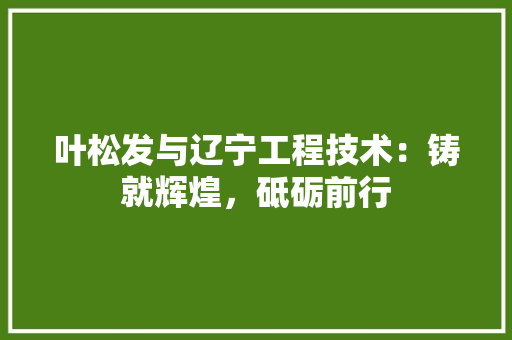 叶松发与辽宁工程技术：铸就辉煌，砥砺前行 卧室装修