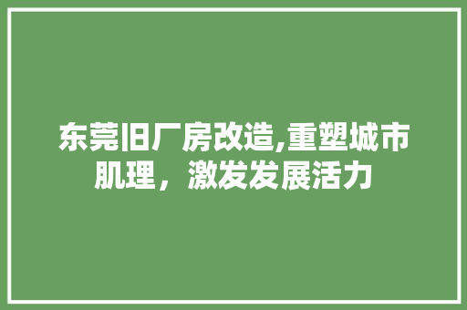 东莞旧厂房改造,重塑城市肌理，激发发展活力