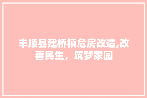 丰顺县建桥镇危房改造,改善民生，筑梦家园 木雕艺术