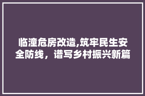 临潼危房改造,筑牢民生安全防线，谱写乡村振兴新篇章 地板材料