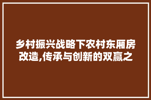 乡村振兴战略下农村东厢房改造,传承与创新的双赢之路