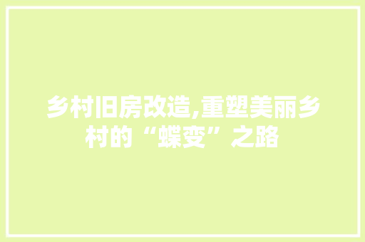 乡村旧房改造,重塑美丽乡村的“蝶变”之路 室内设计