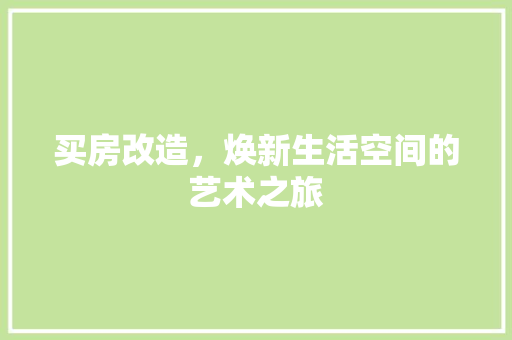买房改造，焕新生活空间的艺术之旅 现代风格装饰