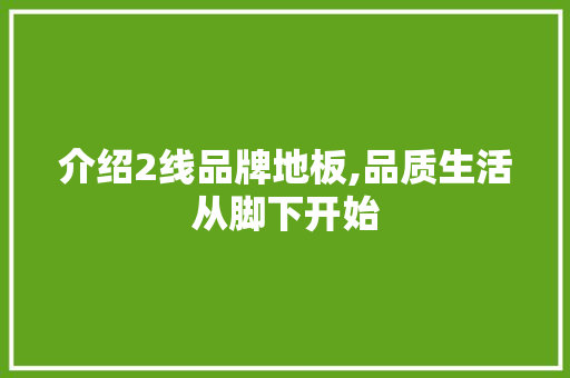 介绍2线品牌地板,品质生活从脚下开始 家居装修