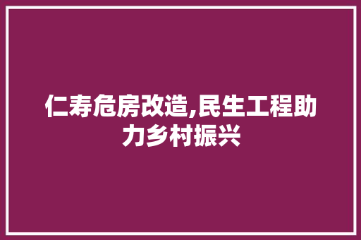 仁寿危房改造,民生工程助力乡村振兴 软装设计