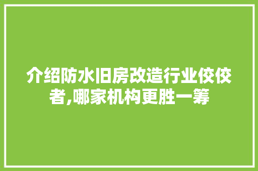 介绍防水旧房改造行业佼佼者,哪家机构更胜一筹 地板材料
