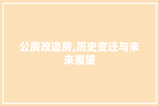 公房改造房,历史变迁与未来展望