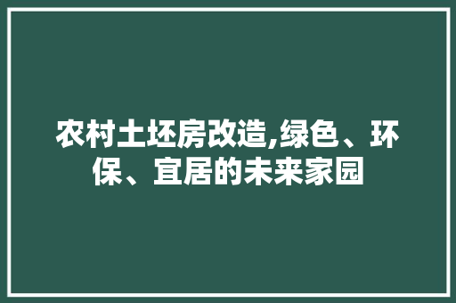 农村土坯房改造,绿色、环保、宜居的未来家园