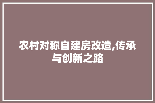 农村对称自建房改造,传承与创新之路