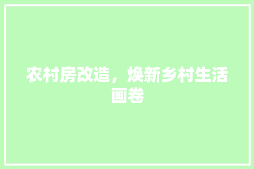 农村房改造，焕新乡村生活画卷 卧室装修