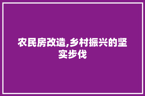 农民房改造,乡村振兴的坚实步伐 室内设计