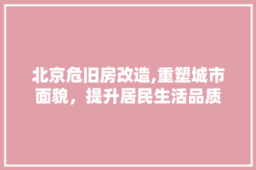 北京危旧房改造,重塑城市面貌，提升居民生活品质 室内设计