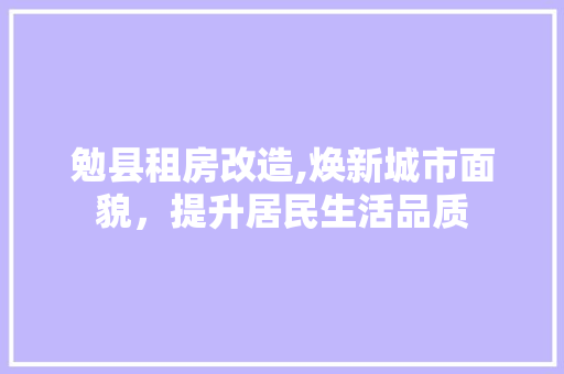 勉县租房改造,焕新城市面貌，提升居民生活品质