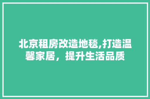 北京租房改造地毯,打造温馨家居，提升生活品质