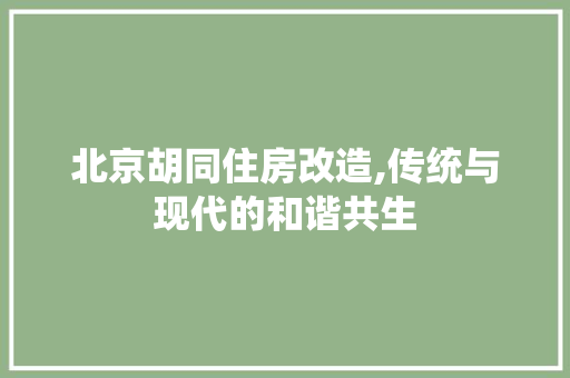 北京胡同住房改造,传统与现代的和谐共生