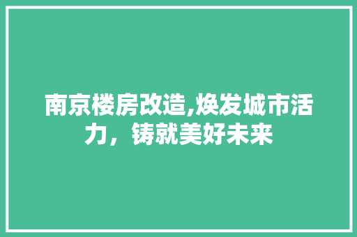 南京楼房改造,焕发城市活力，铸就美好未来