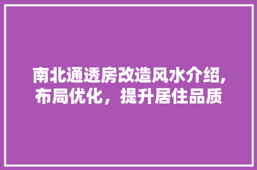 南北通透房改造风水介绍,布局优化，提升居住品质