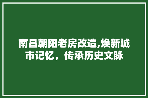 南昌朝阳老房改造,焕新城市记忆，传承历史文脉