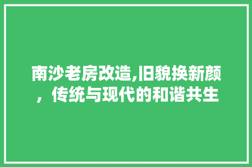 南沙老房改造,旧貌换新颜，传统与现代的和谐共生 软装设计