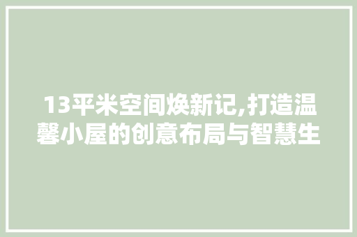 13平米空间焕新记,打造温馨小屋的创意布局与智慧生活 客厅装修