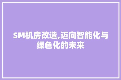 SM机房改造,迈向智能化与绿色化的未来