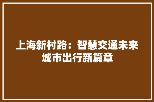 上海新村路：智慧交通未来城市出行新篇章