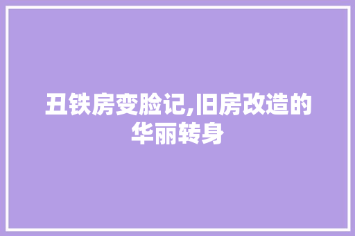 丑铁房变脸记,旧房改造的华丽转身