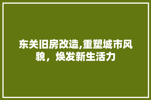 东关旧房改造,重塑城市风貌，焕发新生活力