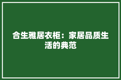 合生雅居衣柜：家居品质生活的典范 卧室装修