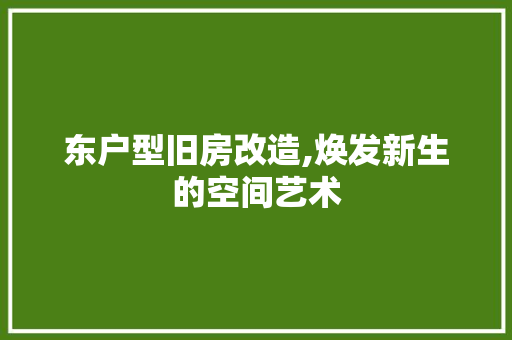 东户型旧房改造,焕发新生的空间艺术 地板材料