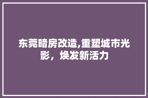 东莞暗房改造,重塑城市光影，焕发新活力