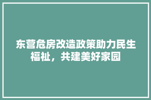 东营危房改造政策助力民生福祉，共建美好家园 软装设计