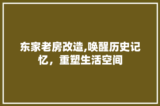 东家老房改造,唤醒历史记忆，重塑生活空间