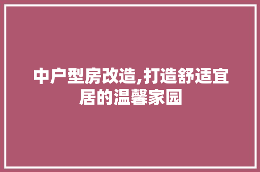 中户型房改造,打造舒适宜居的温馨家园
