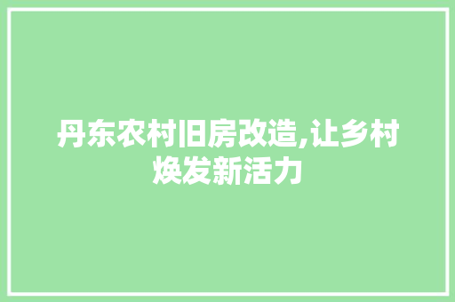 丹东农村旧房改造,让乡村焕发新活力 客厅装修