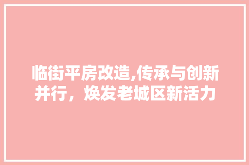 临街平房改造,传承与创新并行，焕发老城区新活力 现代风格装饰
