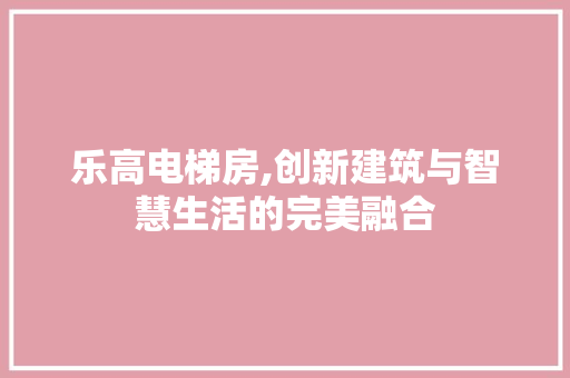 乐高电梯房,创新建筑与智慧生活的完美融合