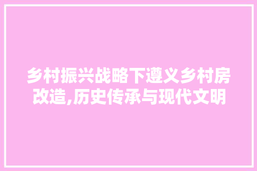 乡村振兴战略下遵义乡村房改造,历史传承与现代文明的完美融合