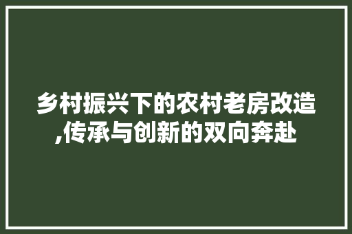 乡村振兴下的农村老房改造,传承与创新的双向奔赴