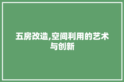 五房改造,空间利用的艺术与创新 现代风格装饰