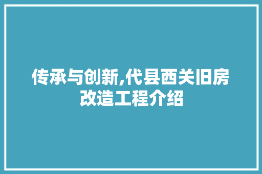传承与创新,代县西关旧房改造工程介绍 地板材料