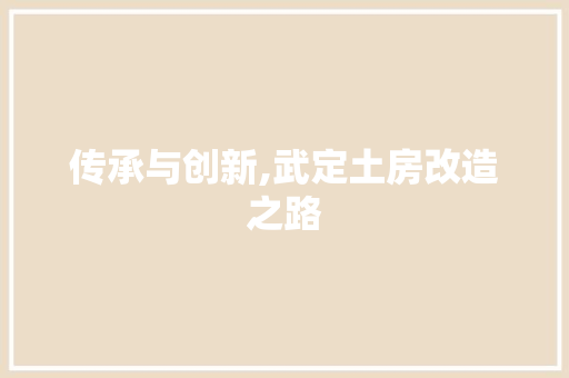 传承与创新,武定土房改造之路