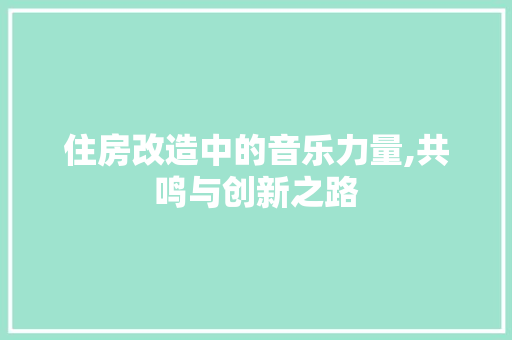 住房改造中的音乐力量,共鸣与创新之路 木雕艺术