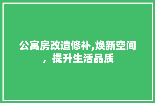 公寓房改造修补,焕新空间，提升生活品质