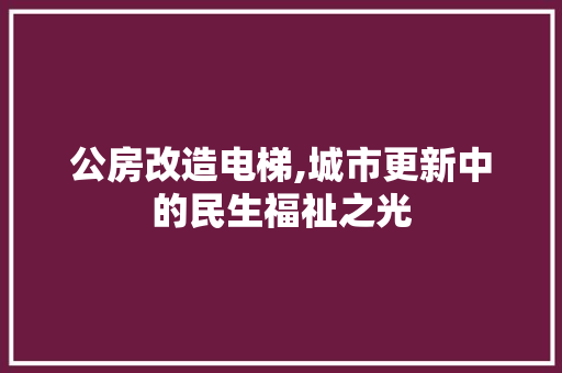公房改造电梯,城市更新中的民生福祉之光