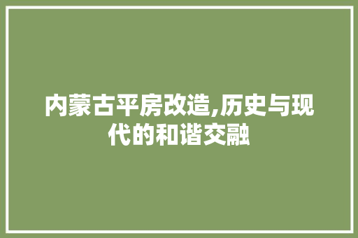 内蒙古平房改造,历史与现代的和谐交融 中式风格装饰