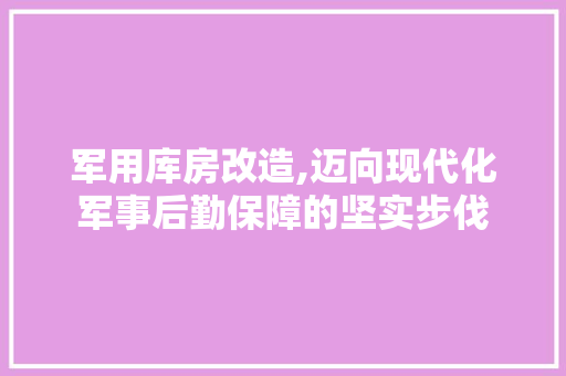 军用库房改造,迈向现代化军事后勤保障的坚实步伐