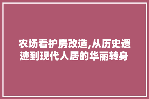 农场看护房改造,从历史遗迹到现代人居的华丽转身 现代风格装饰